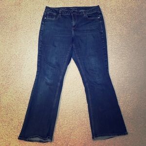 Lane Bryant bootcut Jeans